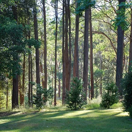 The Bower At Wildside Sanctuary Villa Bilpin Exterior photo